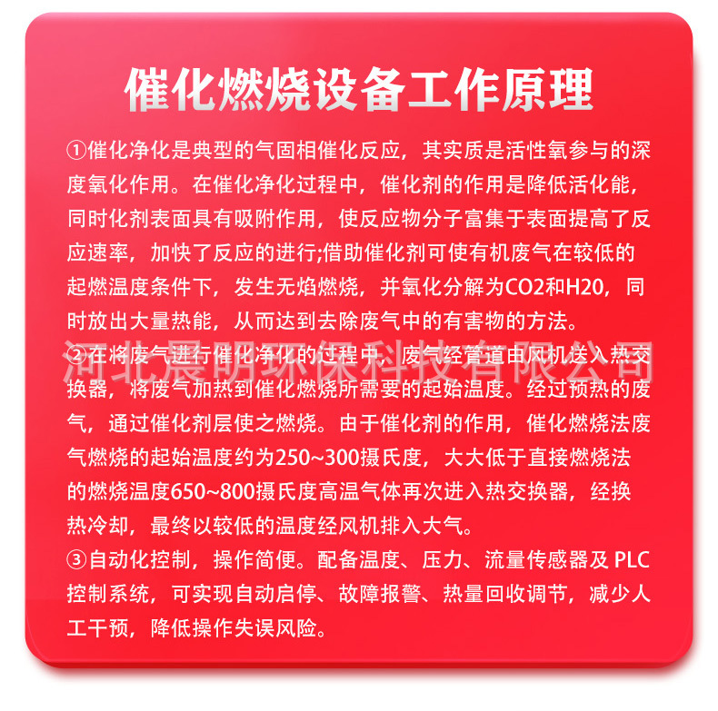 _11.jpg
